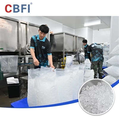 نظام آلة صنع الثلج الأنبوبي CBFI حل توريد الثلج في جنوب شرق آسيا